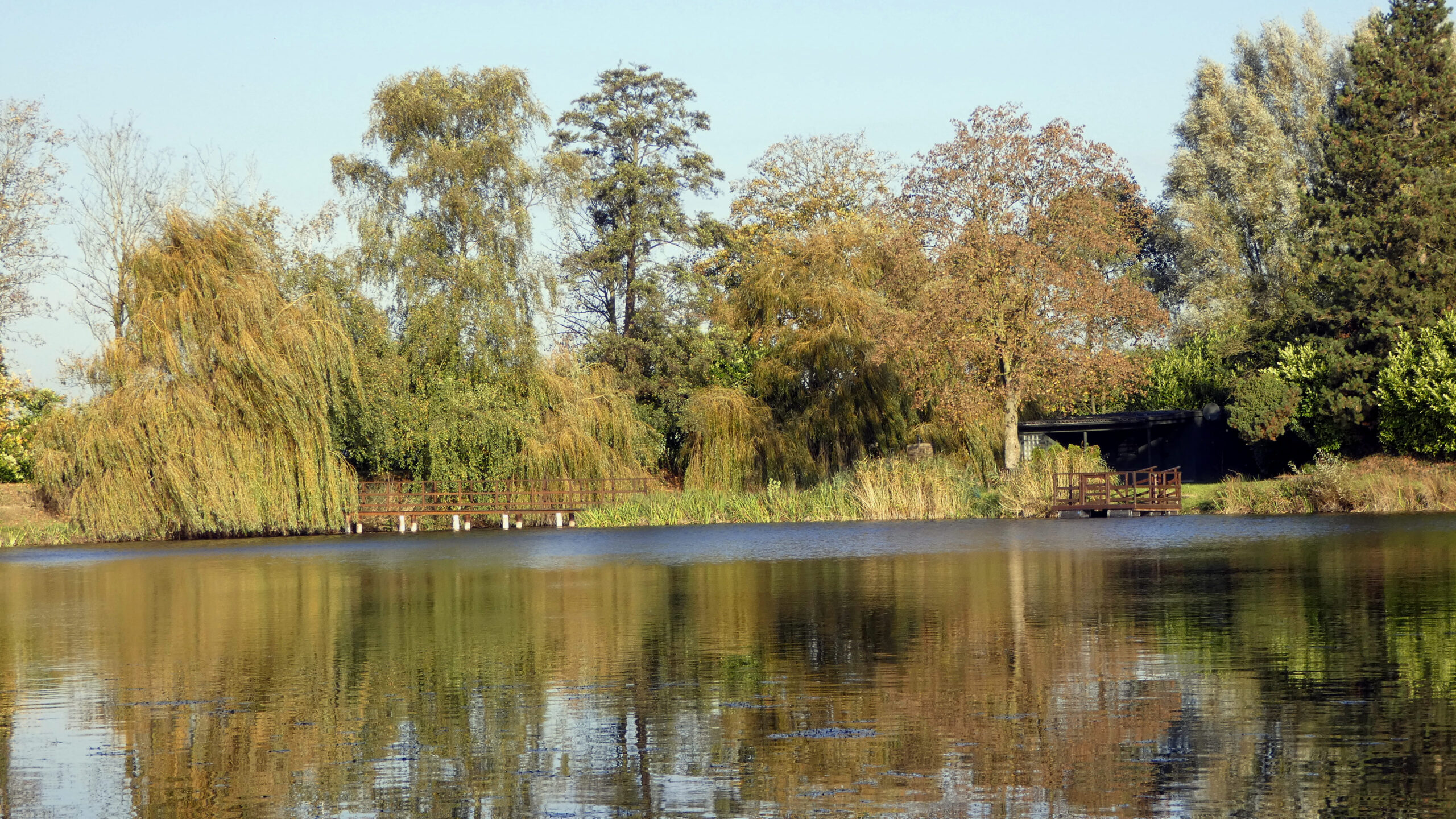 Idyllischer Forellensee zum Angeln in Wachtendonk